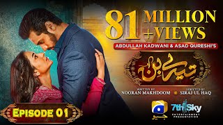 Tere Bin Episode 01  Eng Sub  Yumna Zaidi  Wahaj Ali  28th December 2022  HAR PAL GEO [upl. by Brennen]