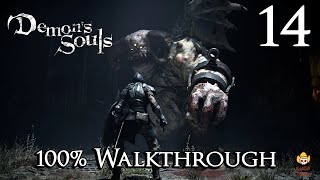 Demons Souls Remake  Walkthrough Part 14 Upper Latria 32 [upl. by Burns]