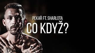 Pekař  Co když feat Sharlota OFFICIAL 4K [upl. by Aerb422]