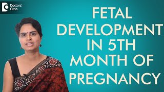 5th Month  Fetal development in fifth month of pregnancy  Dr Shefali Tyagi [upl. by Ettenirt]