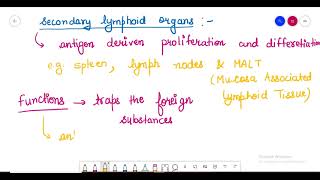 Lymphoid Organs and Types Primary and Secondary Lymphoid Organs [upl. by Nerrak905]