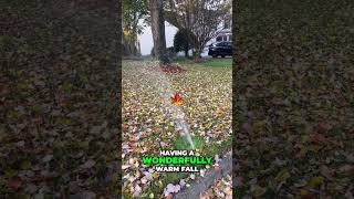 Did You Turn Off Your Sprinklers for Fall 🍂💧 realestate tips [upl. by Karilla983]