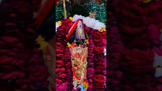 maha kali neeleshwari maasingergopal mishra [upl. by Mercedes535]