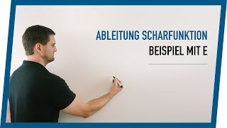 Ableitung Funktionsschar mit ex  Mathe by Daniel jung [upl. by Garibull]