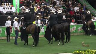 FOLCLOR DE JUSAMATERCER PUESTO CAMPEONATO JOVEN TROCHA COLOMBIANA COPA CIUDAD MEDELLIN GRADO A 2024 [upl. by Roehm]