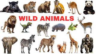 Wild Animals Name  Wild Animal Names for Toddlers [upl. by Akiv173]