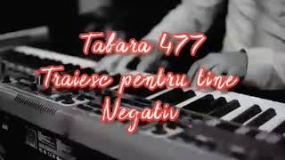 Taiesc pentru Tine  Negativ Tabara 477 [upl. by Ajam]