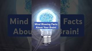 Mind Blowing Facts the Human Brain funfacts facts factshorts fyp [upl. by Attenol758]