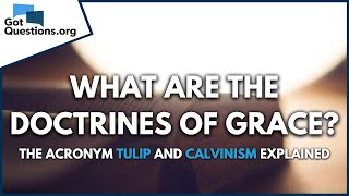 What are the doctrines of Grace  The acronym TULIP and Calvinism explained  GotQuestionsorg [upl. by Aniela832]