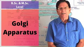 Golgi Apparatus  BSc amp MSc Level Biology [upl. by Enorahs]