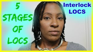 The 5 stages of Locs INTERLOCKS [upl. by Oilisab663]