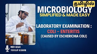 LABORATORY EXAMINATION OF COLI  ENTERITIS தமிழில்  ECOLI BACTERIA 🦠  Microbiology 🧫 MADE EASY [upl. by O'Connor265]