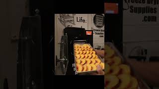 🍑🍑Better Than Freeze Dried Candy 🍑🍑 freezedriedpeaches [upl. by Uball]