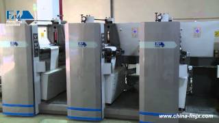 fengming Flexo printer [upl. by Tim]