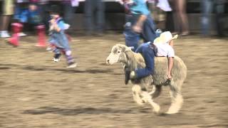 Spanish Fork Rodeo mutton busting [upl. by Pros]