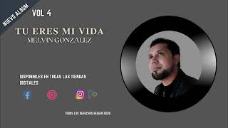 TU ERES MI VIDA AUDIO OFICIAL [upl. by Atiugal]