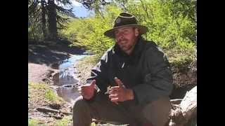 Documental Áreas Naturales Protegidas [upl. by Yevi]