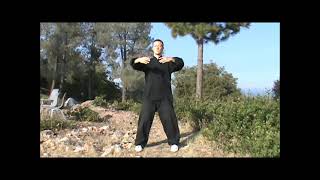 10 Min Daily Standing Meditation Zhan Zhuang Qigong FollowAlong [upl. by Calvert564]