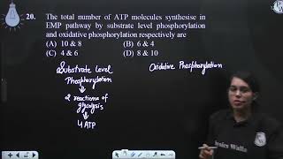 The total number of ATP molecules synthesise in EMP pathway by substrate level phosphorylation a [upl. by Hallvard]