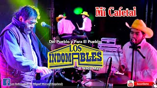 Los Indomables en Vivo 2024 Mi Cafetal DAR Miguel Moran [upl. by Lisha]