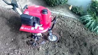 Rototilling Using A Honda [upl. by Emlin]