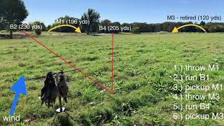 Retriever Field Trial Training Setups [upl. by Yvon]