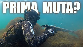 Iniziare la Pesca Sub  Ecco Quale MUTA scegliere  Molvik Line SHIELD [upl. by Ayatnohs262]