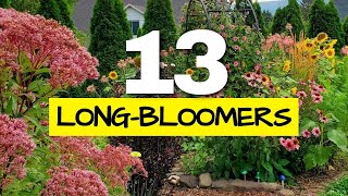 These are the Longest Blooming Perennials in my Garden I Tracked Them All Year [upl. by Shiverick907]