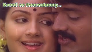 Kannil ne thenmalaraay  Muthodu Muthu Malayalam Movie Song  Sankar  Menaka [upl. by Whyte996]