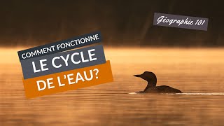 COMMENT fonctionne le CYCLE de lEAU [upl. by Saucy]