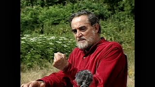 Vittorio Gassman legge Dante  Commedia  Inferno Canto III [upl. by Adnol]