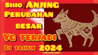 Shio Anjing 2024  perubahan BESAR yg terjadi di tahun NAGA KAYU [upl. by Ddahc]