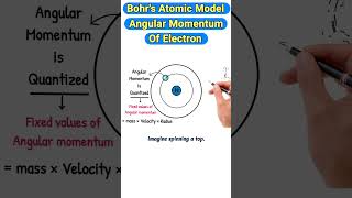 Angular Momentum of Electron bohratomicmodel angularmomentum chemistry [upl. by Grobe]