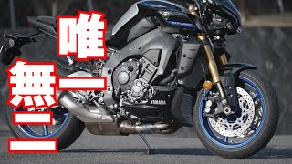 MT10 SPヤマハ）2022最新モデル！バイク試乗インプレ（後編：高速道路）～ドロドロ・ドコドコ感がたまらない！～YAMAHA MT10 SP 2022 TEST RIDE [upl. by Orianna506]