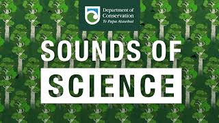 DOC Sounds of Science Podcast Cryptic critters episode with Jess Scrimgeour [upl. by Esilenna]