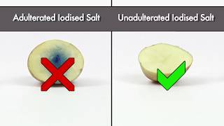 Testing Common Salt Adulteration in Iodized Salt  FSSAI [upl. by Gridley]