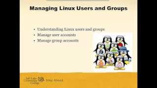 Introduction to Linux Users and Groups [upl. by Steffin]