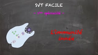 SVT FACILE  1ère spé  Limmunité innée [upl. by Oilicec148]