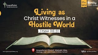 Living as Christ Witnesses in a HOSTILE WORLD [upl. by Renita]