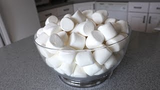 80 Marshmallows Eaten in 60 Seconds Episode 21 [upl. by Aicertap]