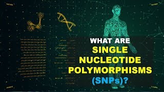 SNPs Single Nucleotide Polymorphism0 Better Explained [upl. by Abigale]