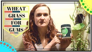 WHEATGRASS NATURAL Treatment FOR Bleeding receding GUMS RESULTS [upl. by Lilla]