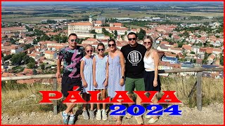 PÁLAVA 2024  Vinaři Pivař a Kofolařky [upl. by Oigimer787]