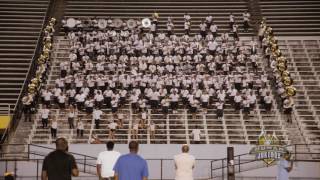 Human Jukebox First Time in the Stands Fall 2016 [upl. by Mari47]