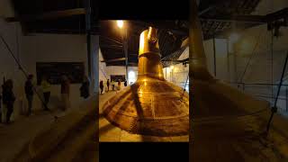 Jameson Distillery Tour  Midleton  Short [upl. by Rust]