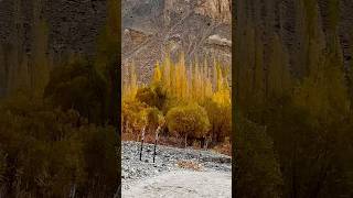 SADPARA Village shortsfeed duet skardubeauty nature skardu travel shorts autumn lover [upl. by Holtz278]