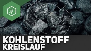 Kohlenstoffkreislauf – Stoffkreisläufe 3 [upl. by Lucania]