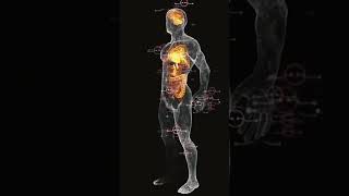 Complete Body Recovery  Binaural Beats for Healing amp Recovery [upl. by Yalonda]