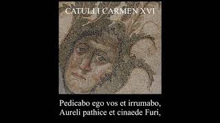 Catullus 16 in Latin amp English Pedicabo ego vos et irrumabo [upl. by Aseram]