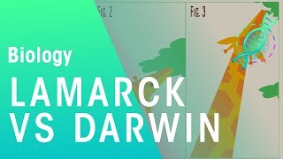 Theories of evolution Lamarck vs Darwin  Evolution  Biology  FuseSchool [upl. by Picker641]